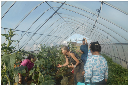 something meaningful